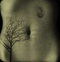 drzewo tatuaż na brzuchu